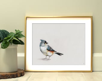 Tufted Titmouse Bird Art Print | Wildlife Art Print | Outdoor Gift | Bird Watching Decor | Modern Nursery Bird Print | Bird Lover Art Gift