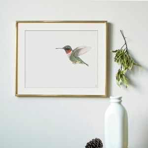 Ruby-throated Hummingbird Wildlife Art Print Outdoor Gift Garden Bird Watching Bird Lover Decor Hummingbird Art Drawing Nursery image 3