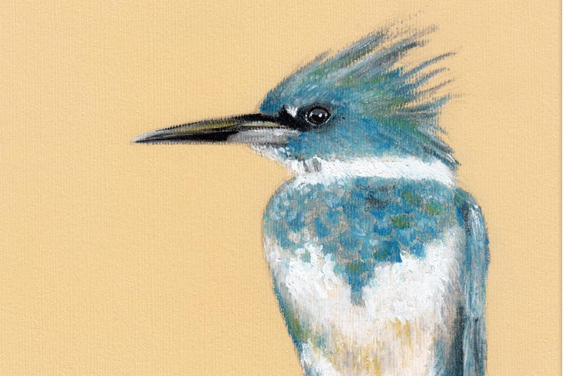 May include: A blue and white kingfisher bird with a long, pointed beak. The bird is perched on a branch and is looking to the right. The background is a light brown.