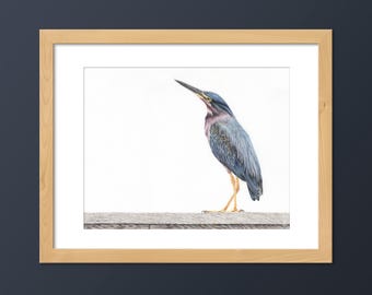 アオサギの絵画、オリジナルの水彩画、湿地や池の水鳥の絵画、鳥の