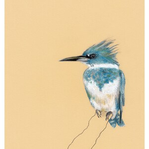 May include: A blue and white bird with a long beak perched on a branch. The bird has a ruffled crest and is facing to the left. The background is a light yellow.