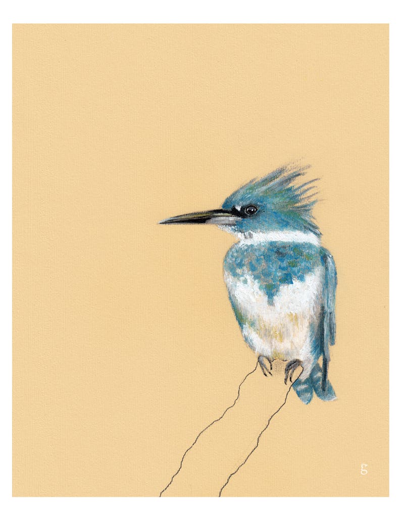 May include: A blue and white bird with a long beak perched on a branch. The bird has a ruffled crest and is facing to the left. The background is a light yellow.