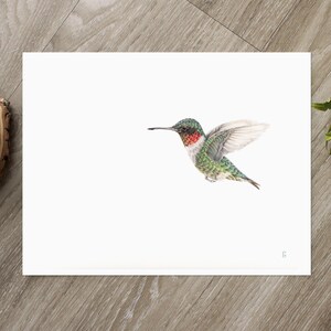 Ruby-throated Hummingbird Wildlife Art Print Outdoor Gift Garden Bird Watching Bird Lover Decor Hummingbird Art Drawing Nursery image 2