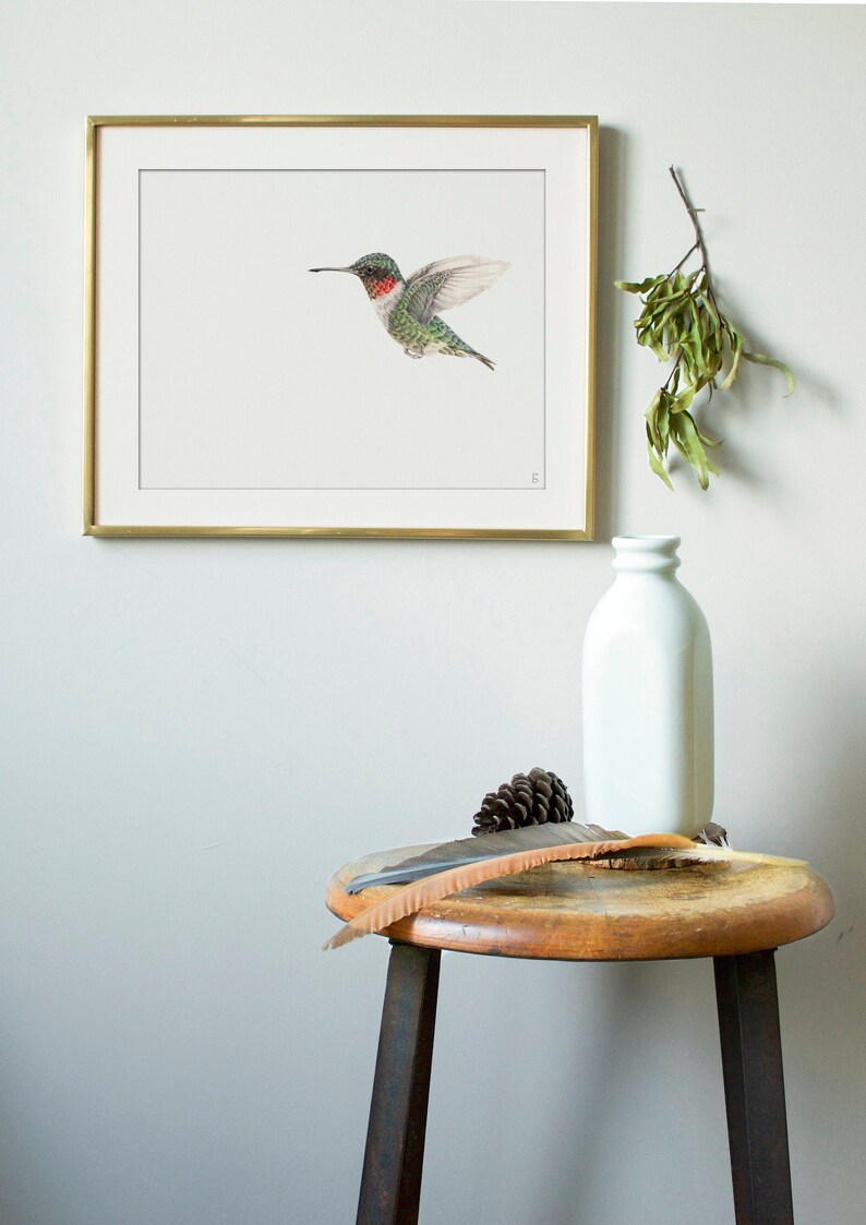 Ruby-throated Hummingbird Wildlife Art Print Outdoor Gift Garden Bird Watching Bird Lover Decor Hummingbird Art Drawing Nursery image 3