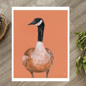 May include: A hand-drawn illustration of a Canadian goose on a peach-colored background. The goose is facing to the left and has a black head and neck with a white stripe around its eye. The goose's body is brown and white.