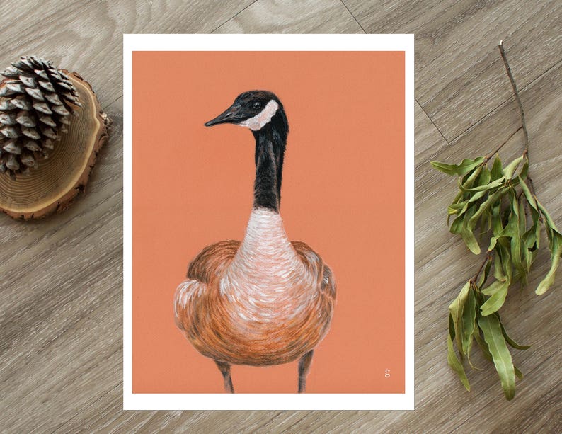 May include: A hand-drawn illustration of a Canadian goose on a peach-colored background. The goose is facing to the left and has a black head and neck with a white stripe around its eye. The goose's body is brown and white.
