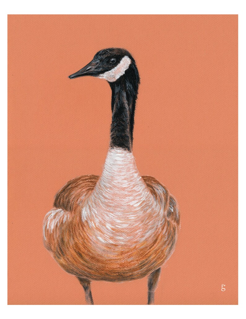 May include: A brown and white goose with a black head and neck stands on a peach-colored background. The goose is looking to the left of the image.