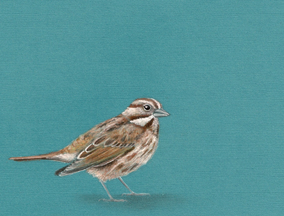 Sparrow Greeting Card Bird Blank Greeting Card Sparrow Etsy