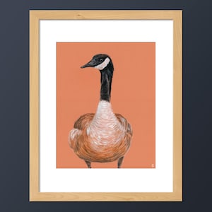 May include: A detailed drawing of a Canadian goose with a black head and neck, brown and white feathers, and a peach background.