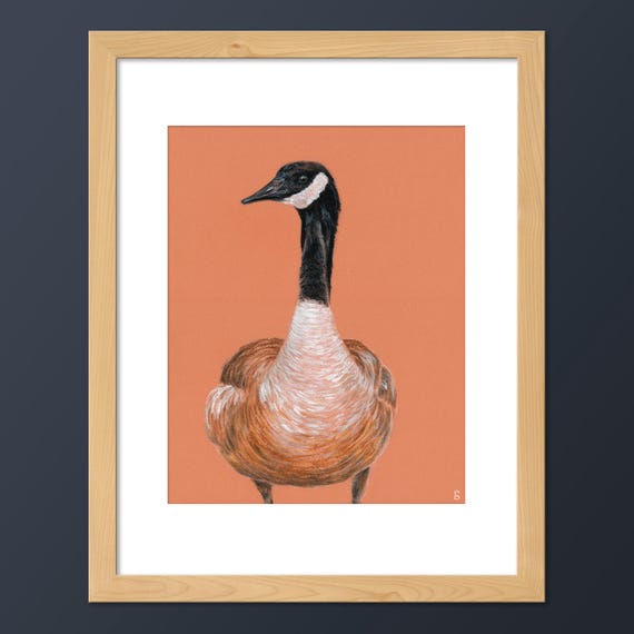 Canada Goose Wall Art Print