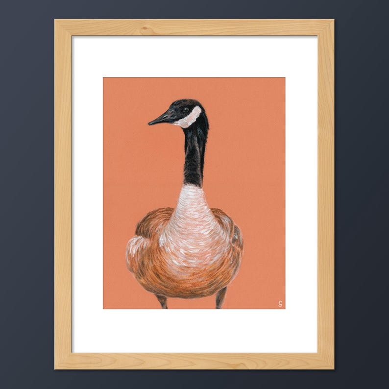 May include: A detailed drawing of a Canadian goose with a black head and neck, brown and white feathers, and a peach background.