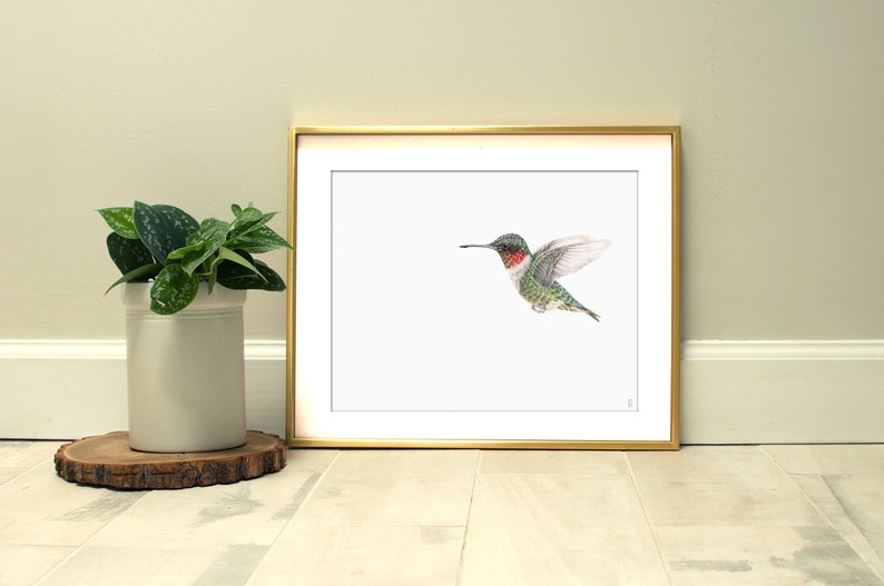 Ruby-throated Hummingbird Wildlife Art Print Outdoor Gift Garden Bird Watching Bird Lover Decor Hummingbird Art Drawing Nursery image 1