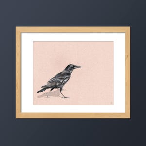 American Crow Bird Art Print