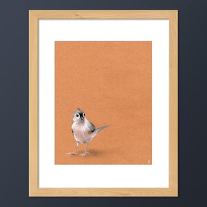 Reihermeise Vogel Kunstdruck