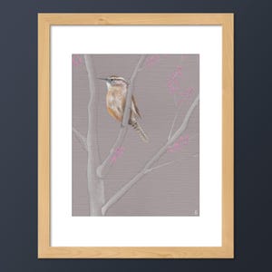 Carolina Wren Bird Art Print