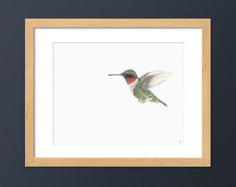 Ruby-throated Hummingbird Art Print