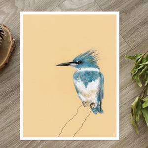 May include: A hand-drawn illustration of a blue-green kingfisher perched on a branch. The bird has a long, pointed beak and a white chest. The background is a light yellow.