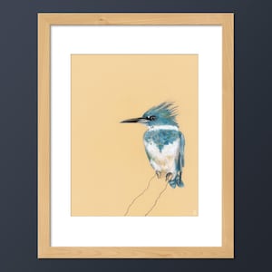May include: A blue and white kingfisher bird perched on a branch, drawn in pastel on a light yellow background.