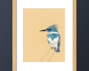Belted Kingfisher Bird Art Print