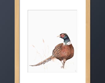 May include: A detailed illustration of a pheasant, rendered in colored pencil, against a white background. The pheasant is depicted in a standing pose, with its head turned to the side, and its tail feathers spread out behind it. The bird's plumage is a mix of brown, black, and white, with a distinctive red patch around its eye.