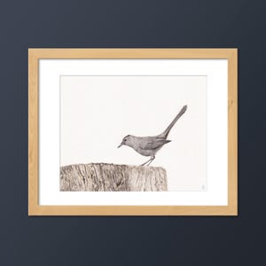 Gray Catbird Art Print