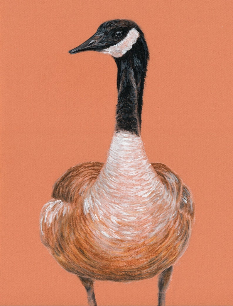 Goose Greeting Card Blank Bird Card Canada Goose Greeting Etsy