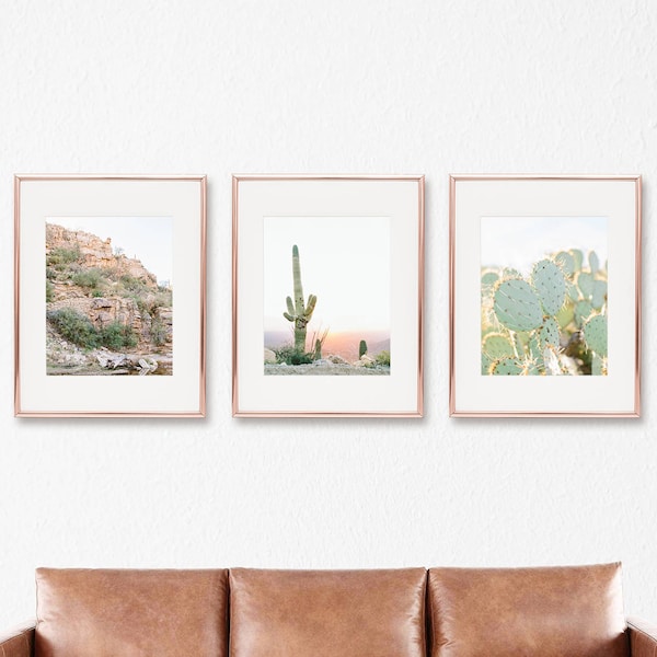 cactus print set of 3, tucson arizona wall art, saguaro print, botanical print, nature print, boho home decor, succulent art, gallery wall