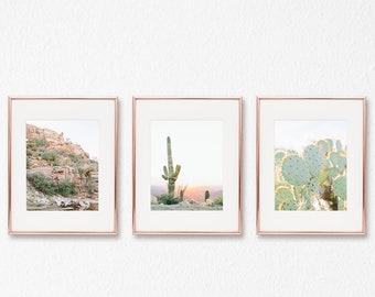 cactus print set of 3, tucson arizona wall art, saguaro print, botanical print, nature print, boho home decor, succulent art, gallery wall