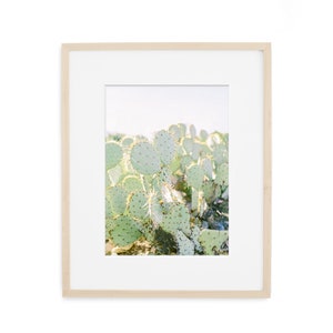 cactus home decor, succulent wall art, prickly pear cactus print, desert print, botanical print, botanical wall decor, arizona print image 3