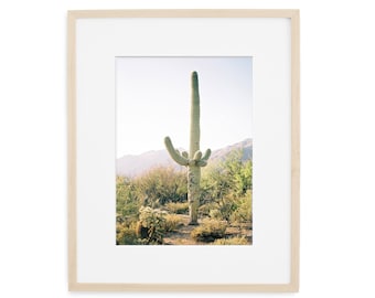 saguaro wall art, cactus print, botanical print, cactus home decor, desert print, gift for her, arizona print, tucson arizona wall decor