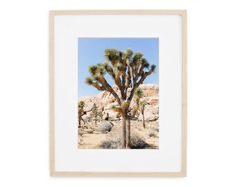 Joshua Tree Desert Landscape Photo Print, California Nature Art