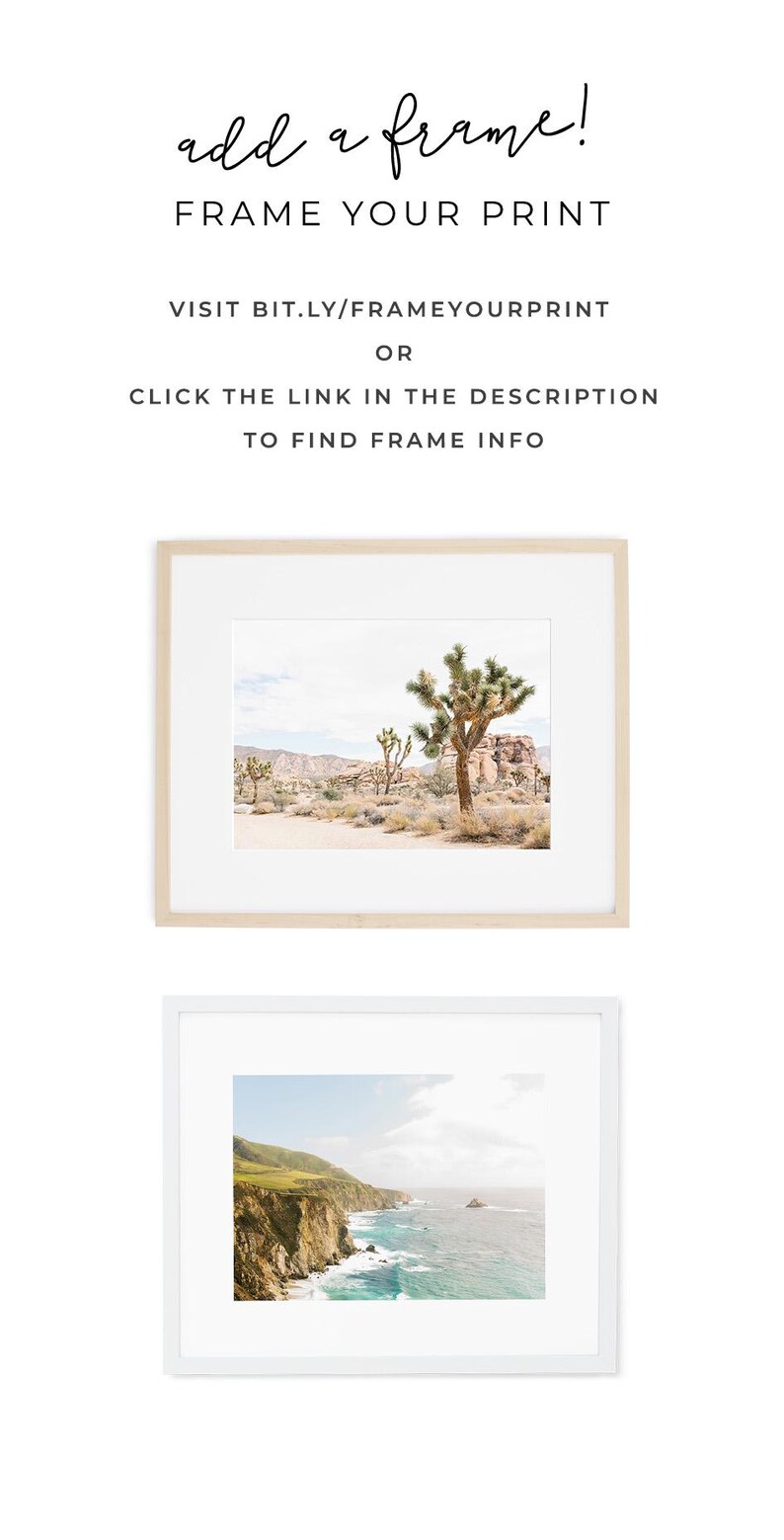 a white frame with a picture of a beach and a palm tree