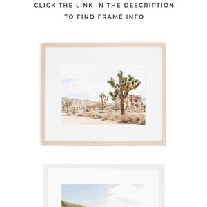 a white frame with a picture of a beach and a palm tree