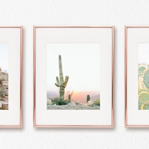 cactus print set of 3, tucson arizona wall art, saguaro print, botanical print, nature print, boho home decor, succulent art, gallery wall image 2