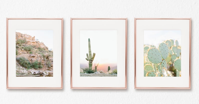 cactus print set of 3, tucson arizona wall art, saguaro print, botanical print, nature print, boho home decor, succulent art, gallery wall image 2