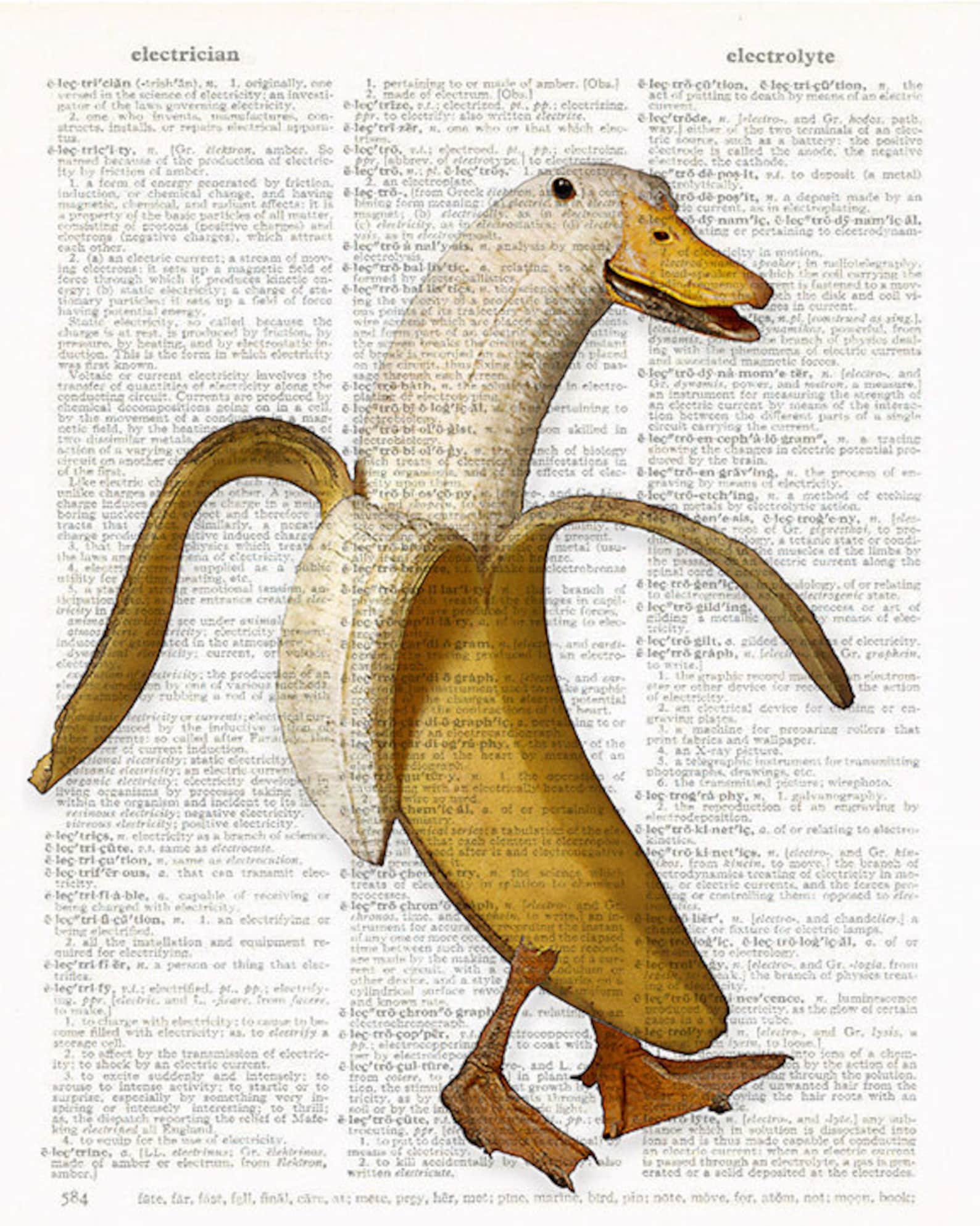Banana Duck. Because It's Funny... Anthropomorphic Art Etsy