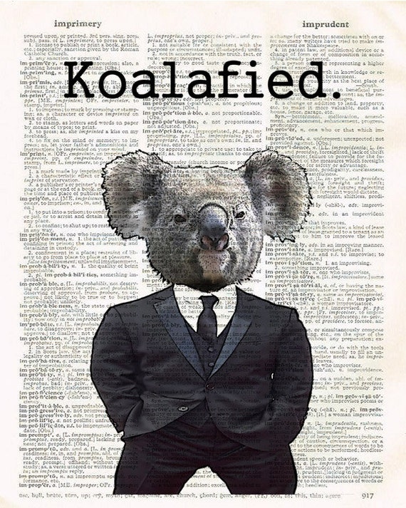 Over Koalafied, Over Qualified, Funny Koala, Koala, Animal Lover, Gift For  Her, Gift For Him, Sarcastic Gift, Funny Gift Idea - Koala Lover Gift -  Posters and Art Prints