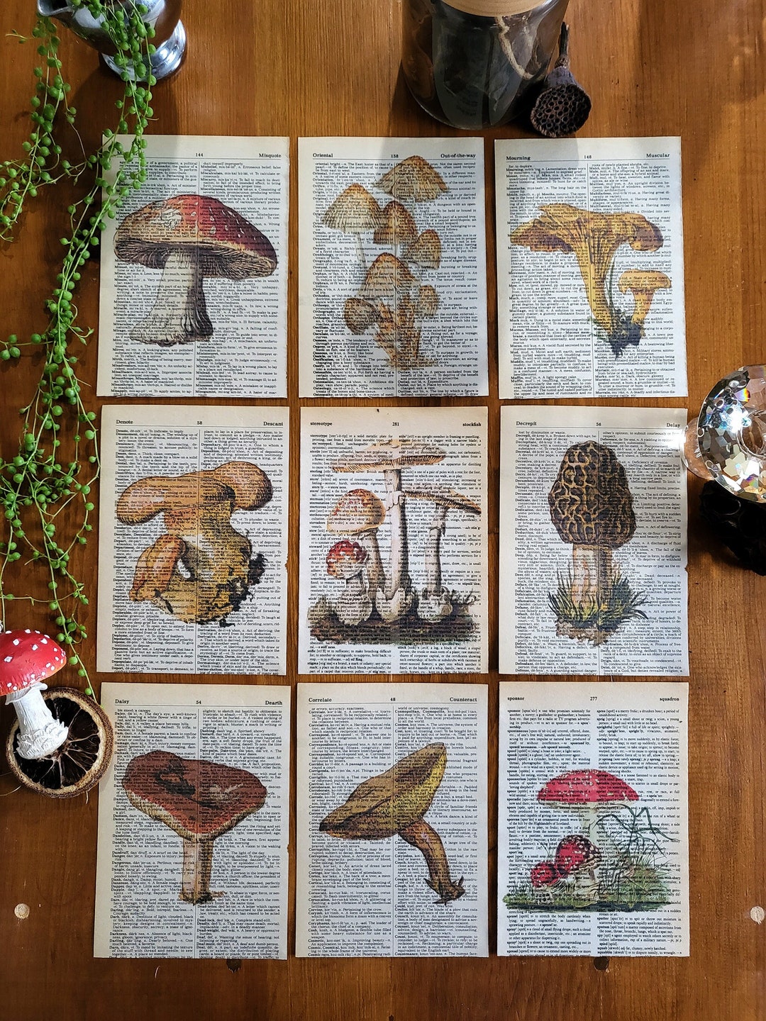 Mushroom Themed Print Bundle, Cottagecore Prints on Vintage Dictionary ...