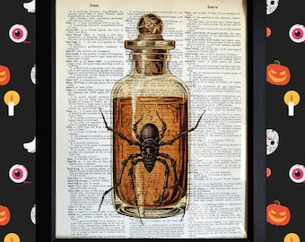 Skull Spider Witches Potion 8x10 print on Antique Dictionary Page, Victorian Era Illustration, Unique Upcycled Spooky Season Halloween Decor