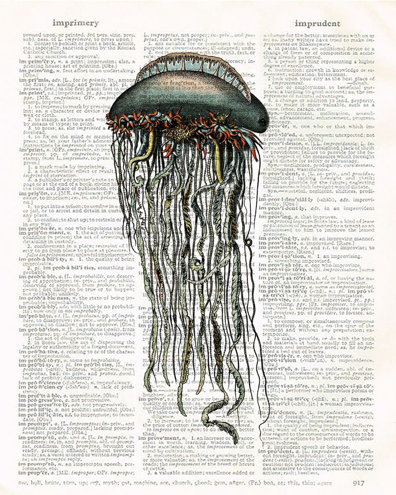 Vintage Jelly Fish Illustration Art Print on Book Page Paper Etsy