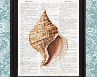 Conch Beige Pink Seashell Beach House Wall Art Print Coastal Decor Vintage Dictionary Page Print OOAK 8x10