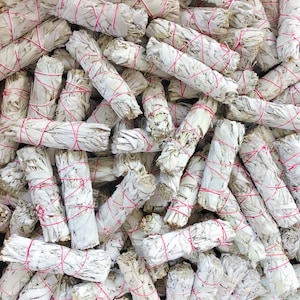 Wholesale White Sage Bundles - Bulk Sage - Organic White Sage Smudge Bundles - Wholesale Price