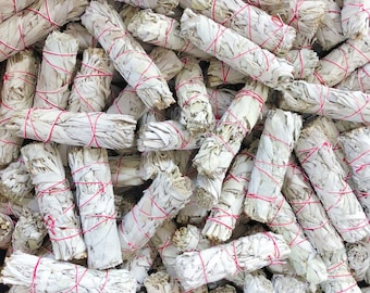 Wholesale White Sage Bundles - Bulk Sage - Organic White Sage Smudge Bundles - Wholesale Price