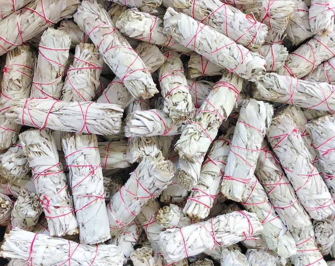 Wholesale White Sage Bundles - Bulk Sage - Organic White Sage Smudge Bundles - Wholesale Price