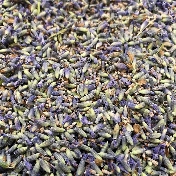 French Lavender Buds - Dried Grosso Lavender Buds - 1oz - Very Fragrant - For Medicinal Uses, Sachets, Crafts