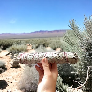 Large White Sage Smudge Stick - Sold Individually - 9&quot; Size - Huge Smudge Stick - Organic White Sage