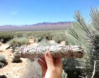 Grand bâton de maculage de sauge blanche - Vendu individuellement - 9 po. - Énorme bâton de maculage - Sauge blanche biologique