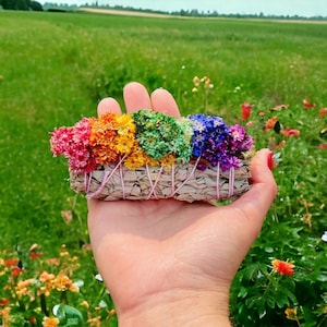 White Sage with Rainbow Cornflowers - Organic Sage - Smudge Sticks