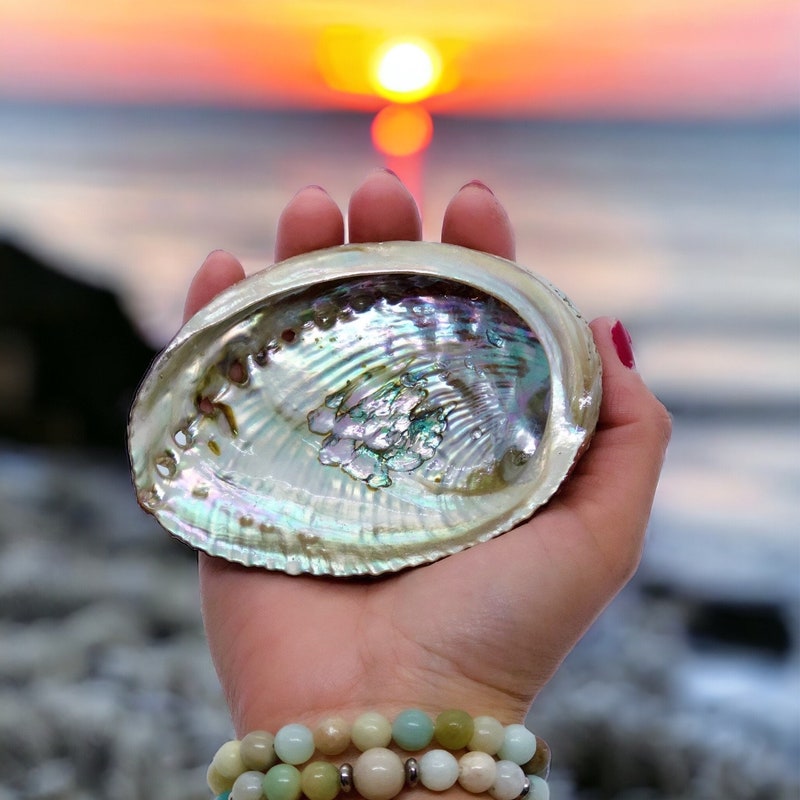 Shell Shrines - Etsy