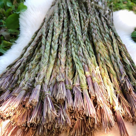 Sweetgrass Braid Sold Individually Native American Smudging Ceremonial  Sweetgrass Traditional Native American Organic Sweetgrass 
